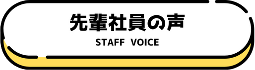 先輩社員の声